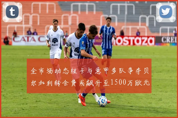 全市场动态纽卡与意甲多队争夺贝尔加利转会费或飙升至1500万欧元